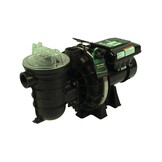 Sta-Rite Zwembadpomp type S5P2R VS2M