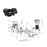 Pentair Whisperflo/ Intelliflo zwembadpomp Filtermand