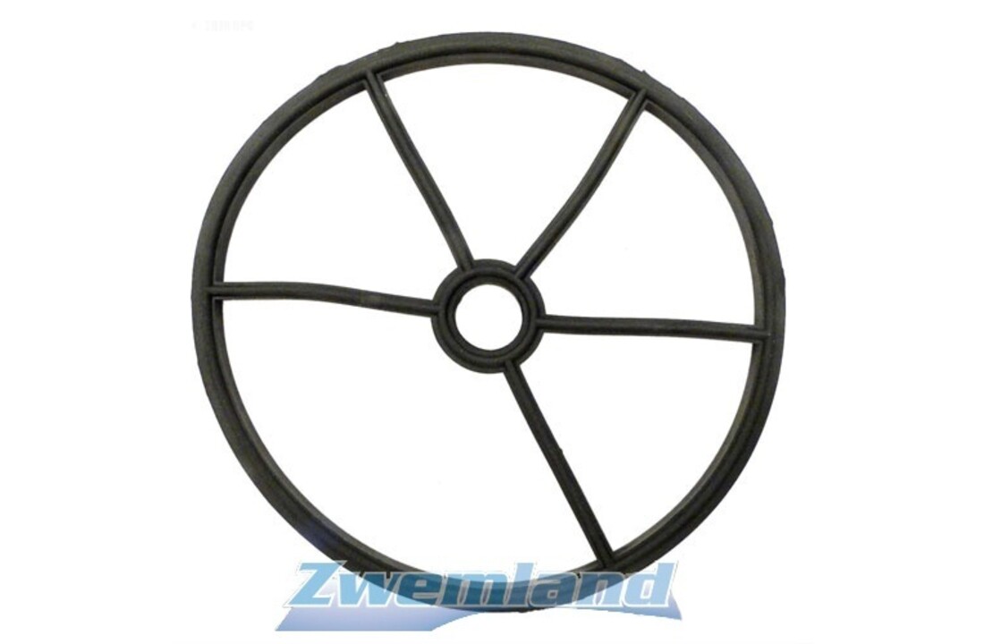 Hayward Sterpakking voor SP0715 en SP0716 Kleppen SPX0715D