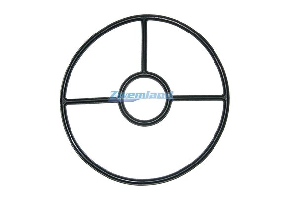 Hayward Sterpakking voor SP0704 Kleppen SPX0704D