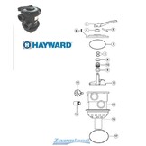 Hayward Schotel met Sterpakking voor SP0714TE Variflo Kraan