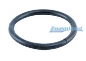 Weltico zwembadlamp O-ring