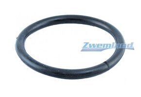 Weltico zwembadlamp O-ring