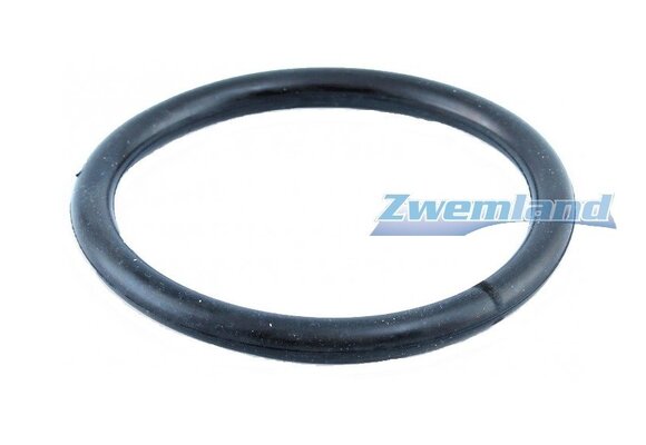 Weltico zwembadlamp O-ring