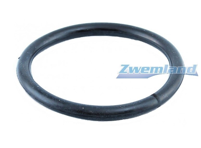 Weltico zwembadlamp O-ring