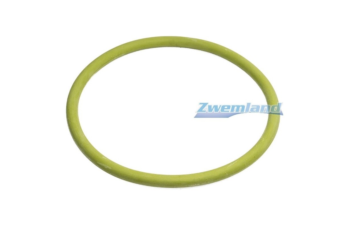 Mts zwembadlamp o-ring E804005