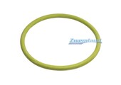 Mts zwembadlamp o-ring E804005