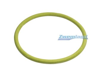 Mts zwembadlamp o-ring E804005