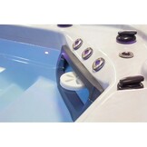 Life spa disc