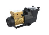 Hayward Super Pump Pro - Diverse varianten