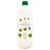 Emendo Sauna emmer, lepel en 1000 ml Euca opgietmiddel  - Zwart