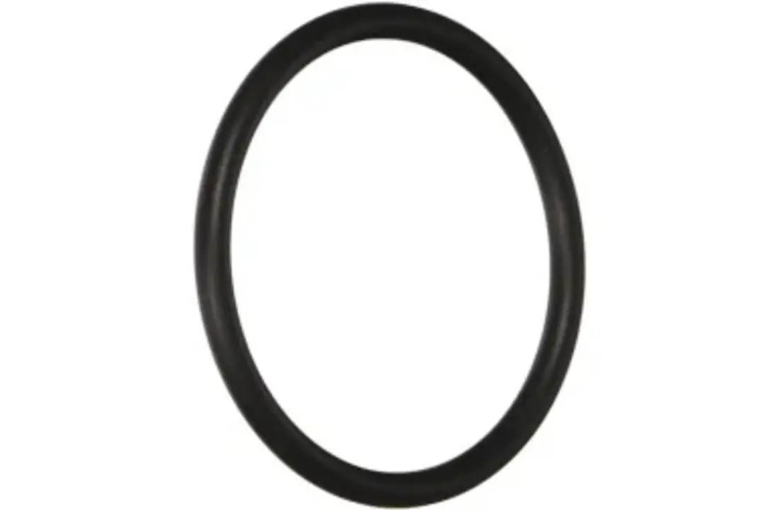 Hayward Max Flo II O-ring pomp koppeling