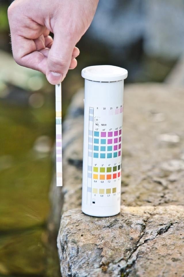 Heissner vijver testset 6-1 (50 teststrips)
