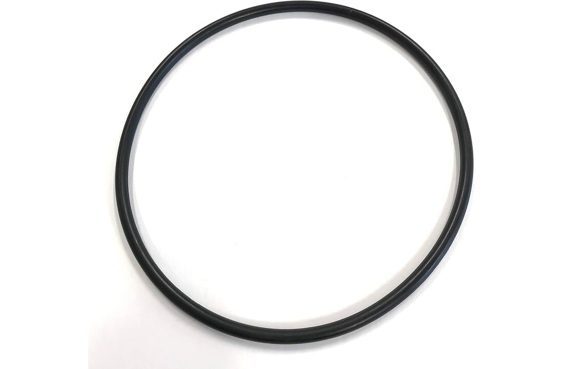 O-ring 16 cm