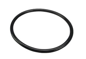 O-ring voor filterpomp bestclean