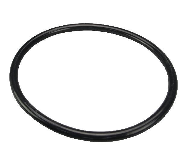 O-ring voor filterpomp bestclean