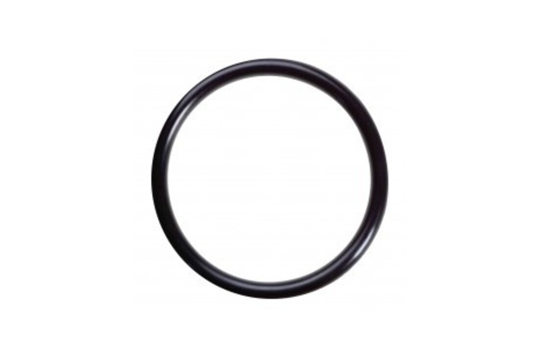 Filter o-ring voor ontluchter Kripsol Granada (alleen o-ring)