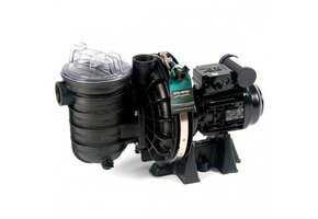 Pentair Sta-Rite Pomp 0.5Pk 220V 8,5m³/u - type S5P2RC-1