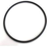 Pentair o-ring voor pomp deksel - R357255