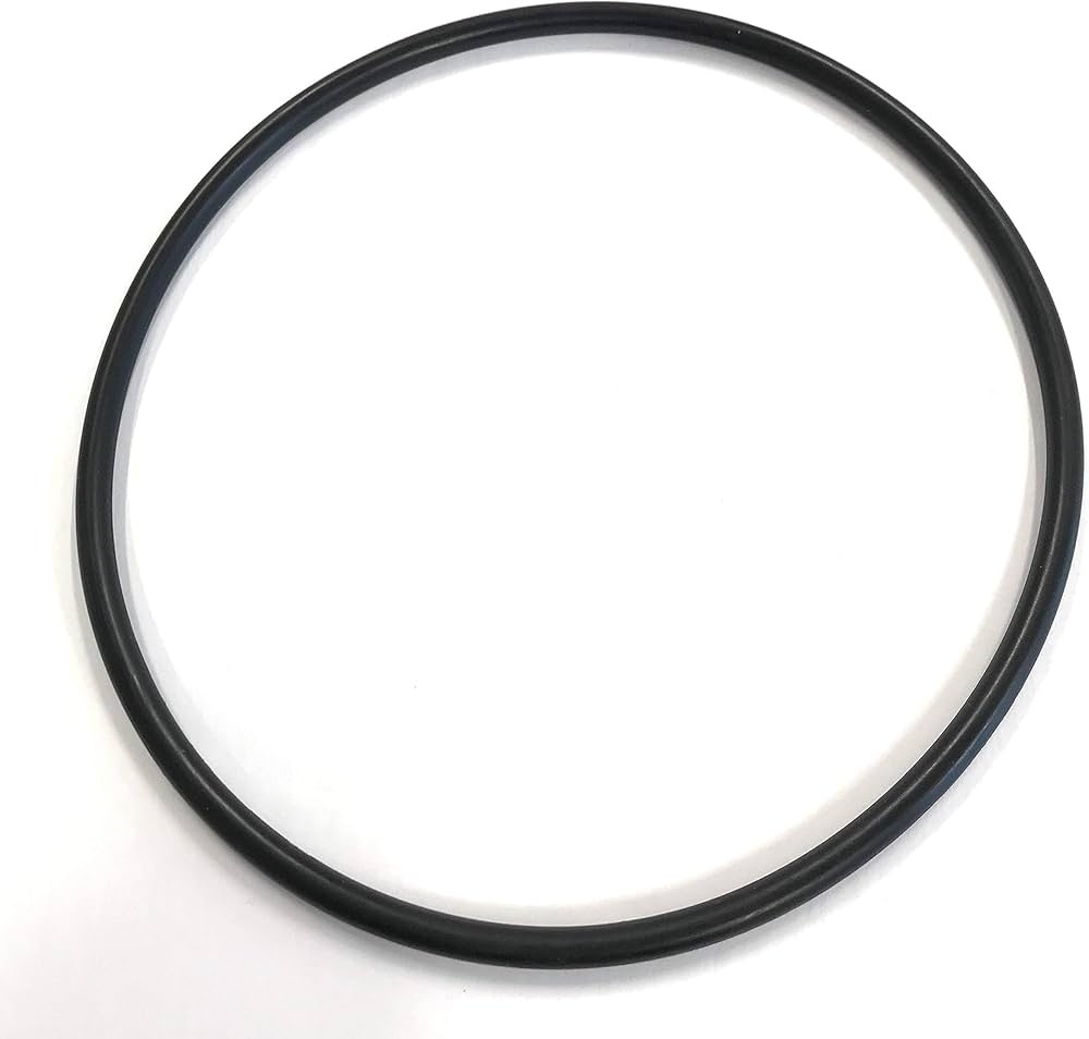 Pentair o-ring voor pomp deksel - R357255