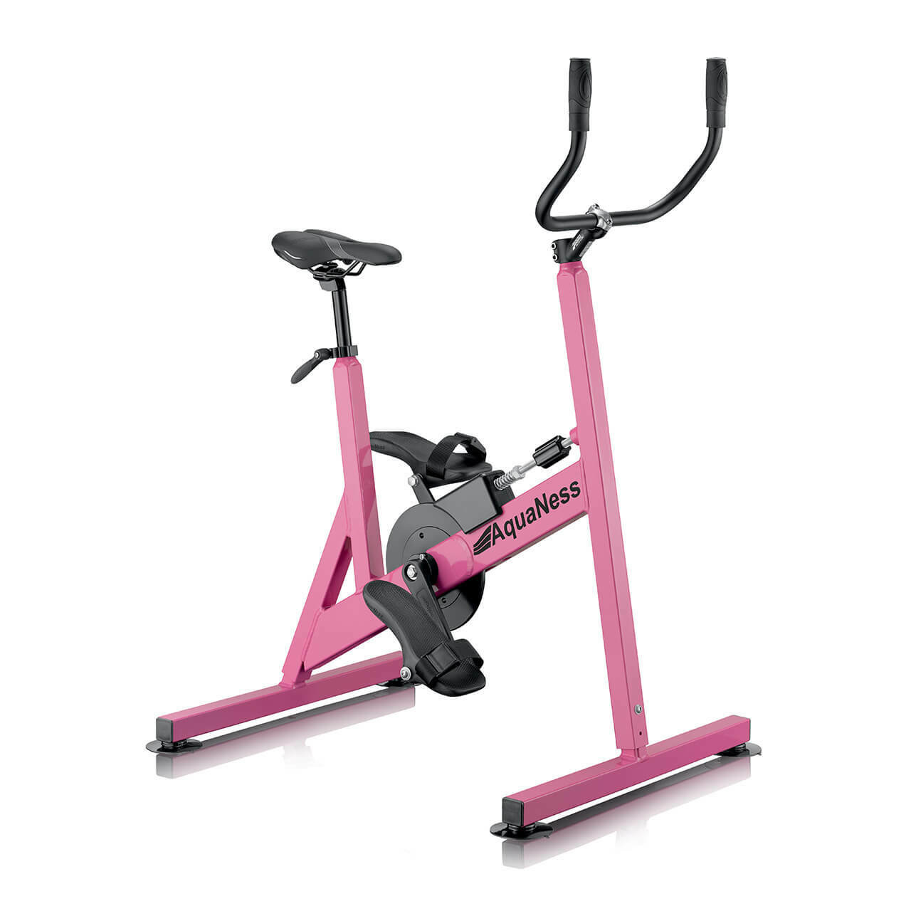 Aquaness Aquabike V4