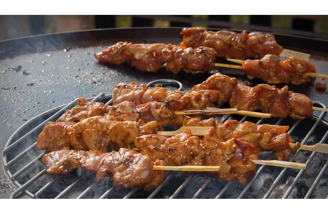 RedFire Vuurschaal / BBQ Orion Zwart