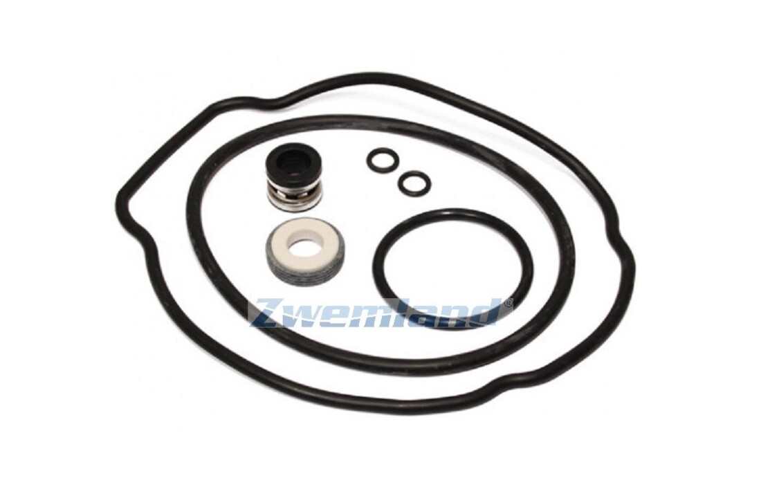 Hayward Max Flo II pomp pakking set