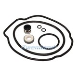 Hayward Max Flo II pomp pakking set