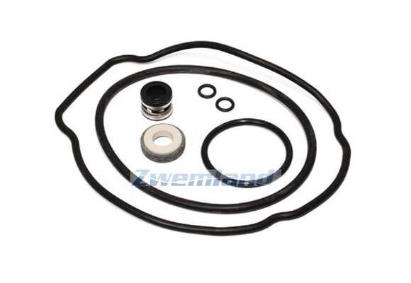 Hayward Max Flo II pomp pakking set