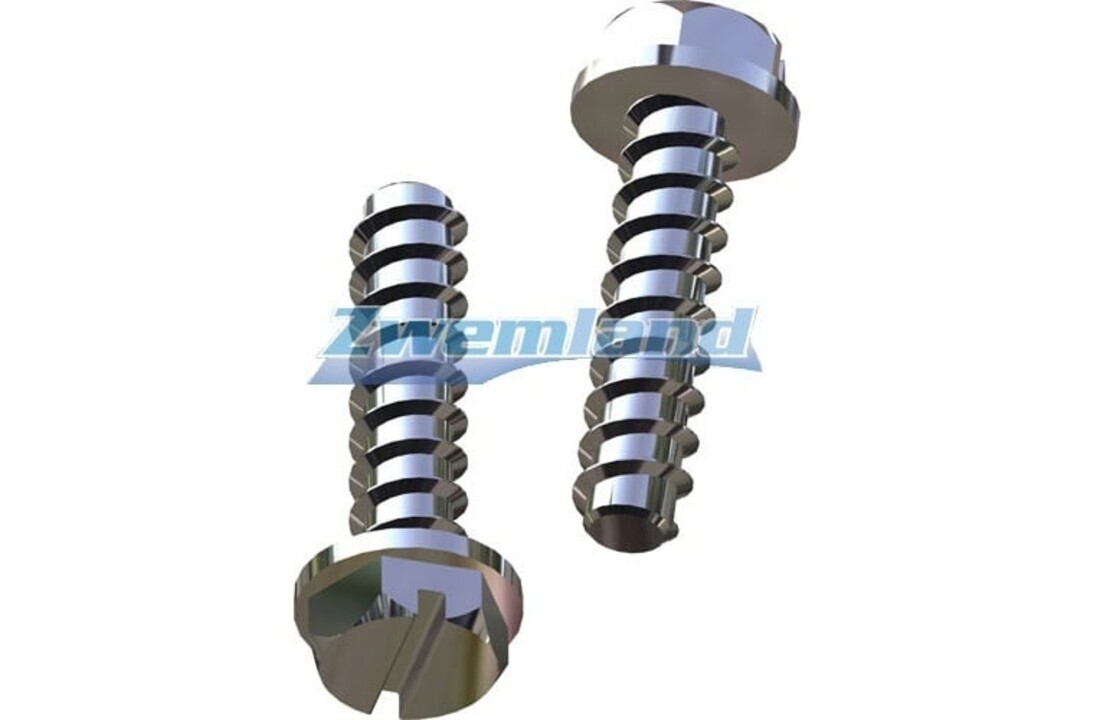 Hayward Super Pump voetplaat schroeven