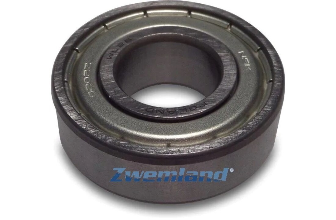 Hayward kogellager Max Flo pomp