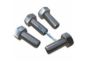Hayward Max Flo motor bevestigings bouten