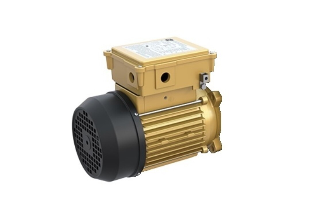 Hayward Super Pump Pro motor- diverse soorten