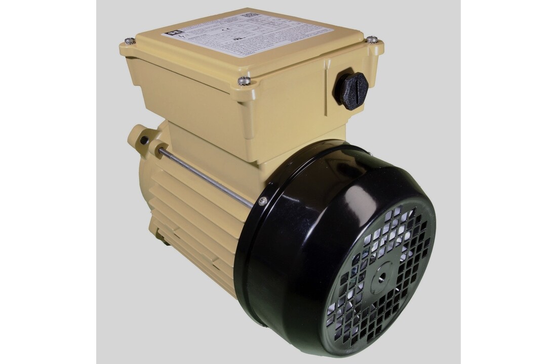 Hayward Super Pump Pro motor- diverse soorten