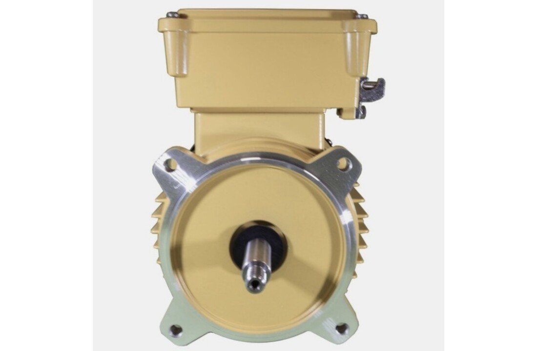 Hayward Super Pump Pro motor- diverse soorten