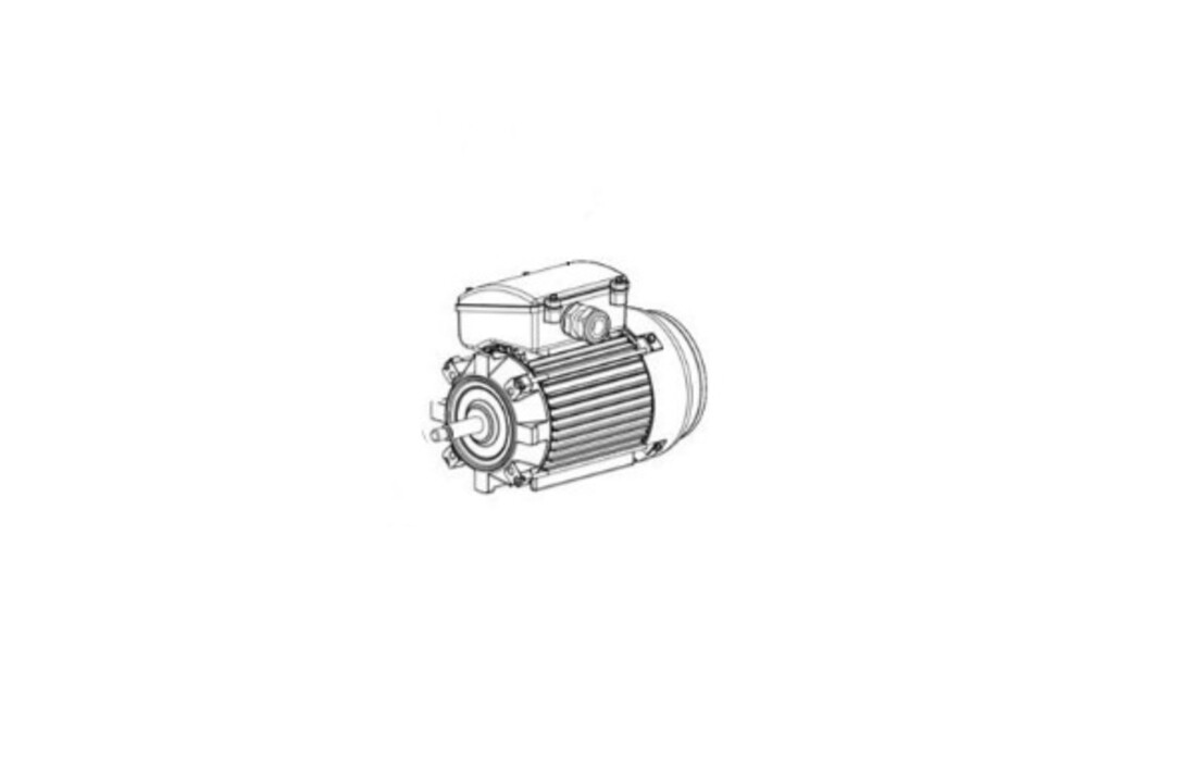 Hayward Super Pump Pro motor- diverse soorten