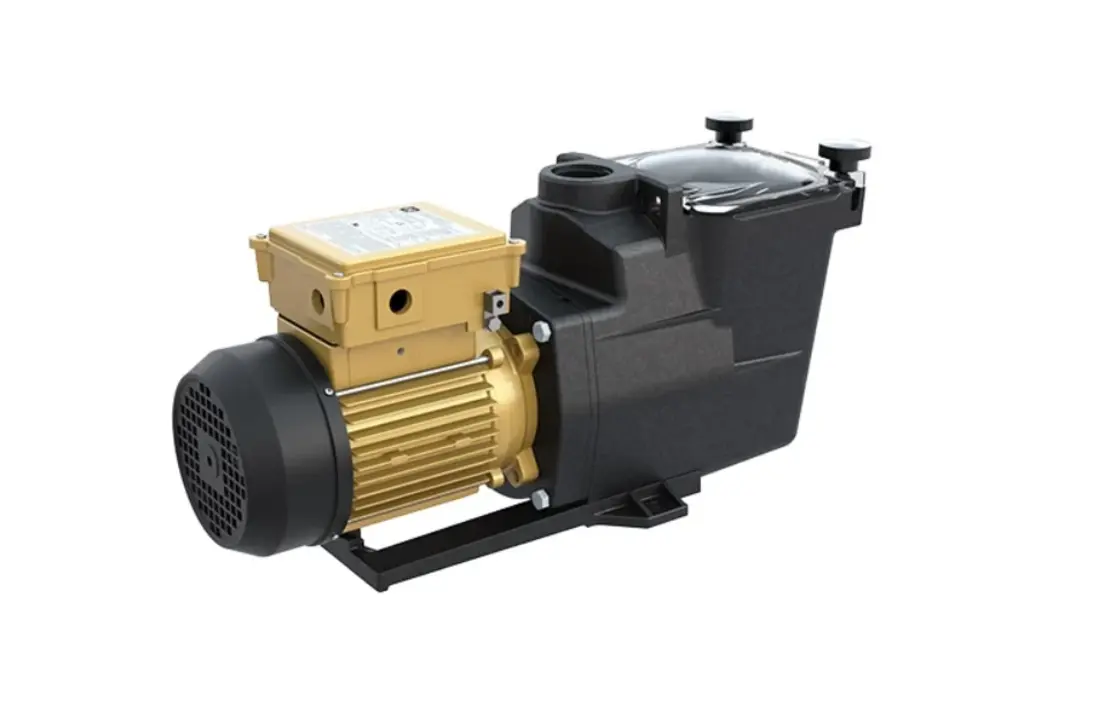Hayward Super Pump Pro motor- diverse soorten