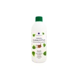 Emendo Sauna emmer, lepel en 500 ml Euca opgietmiddel  - Licht