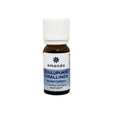 Emendo Santa's Officiële Sauna Geur 10 ml