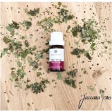 Emendo Tea Tree / Theeboom etherische olie 10 ml