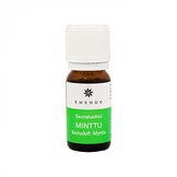 Emendo Sauna Geur Munt - 10ml