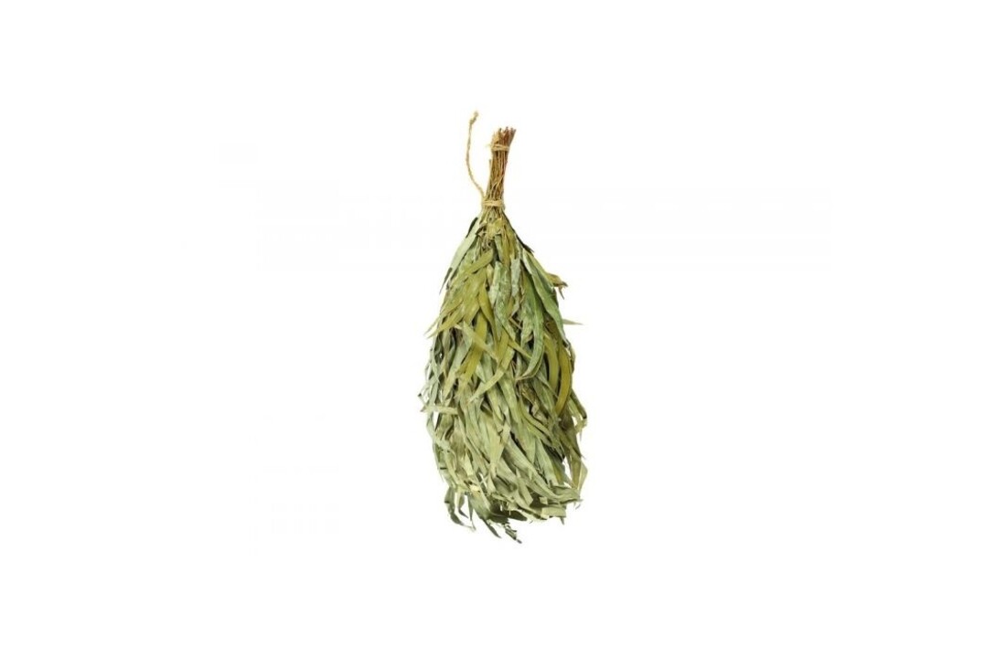 Rento Eucalyptus takken