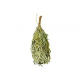 Rento Eucalyptus takken