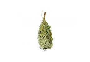 Rento Eucalyptus takken