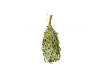 Rento Eucalyptus takken