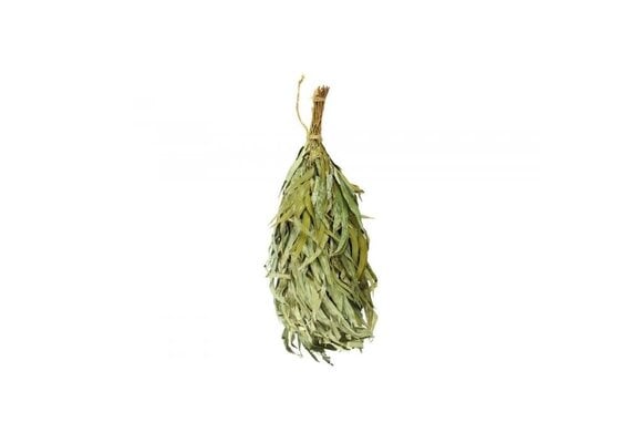 Rento Eucalyptus takken