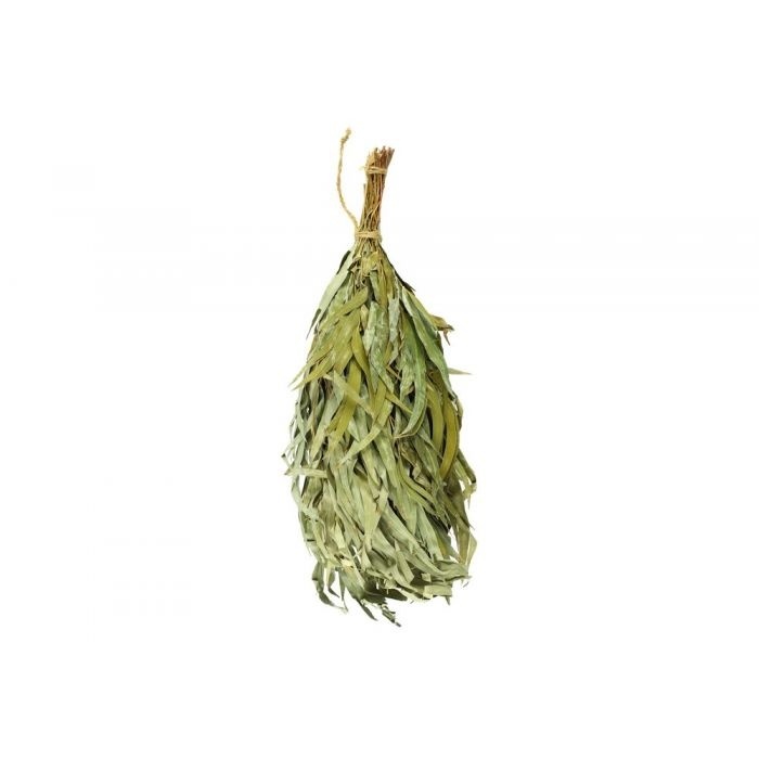 Rento Eucalyptus takken