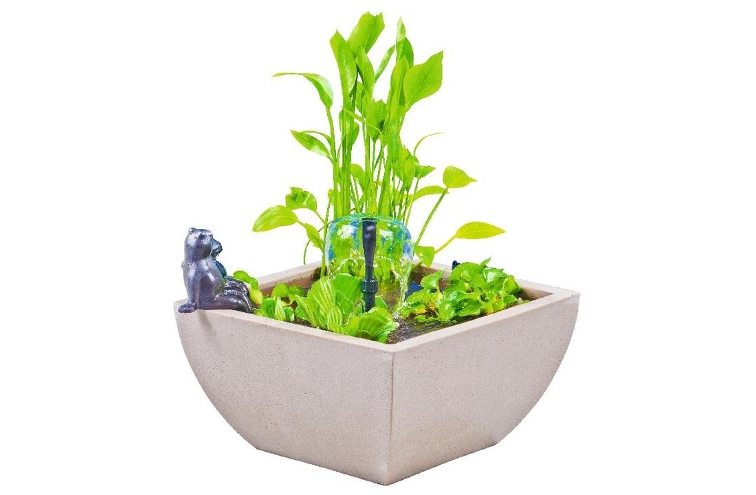 Heissner watertuin set vierkant wit 75x75x30 cm met kikker