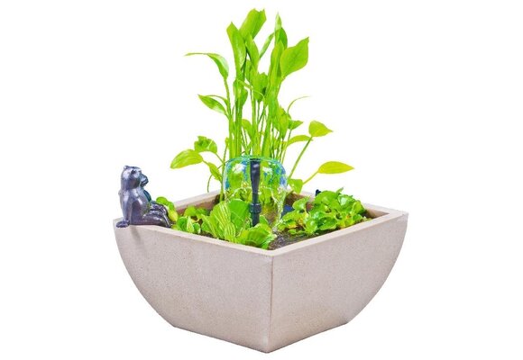 Heissner watertuin set vierkant wit 75x75x30 cm met kikker