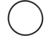 Pentair Triton o-ring voor zandfilter deksel